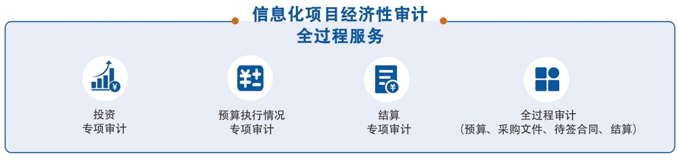 信息化項目經(jīng)濟性審計全過程服務